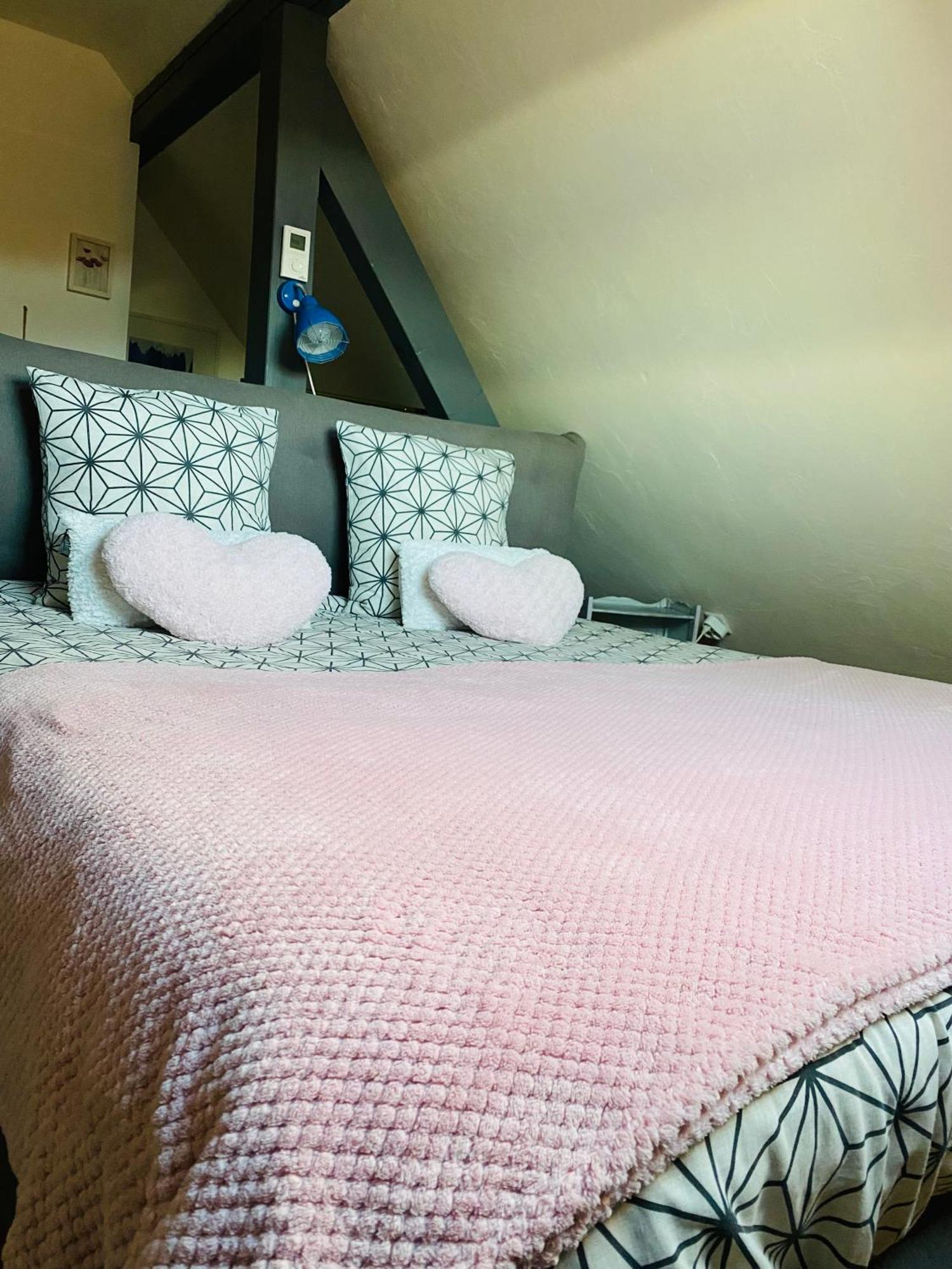 Les appartements d'estelle La Petite-Pierre Extérieur photo