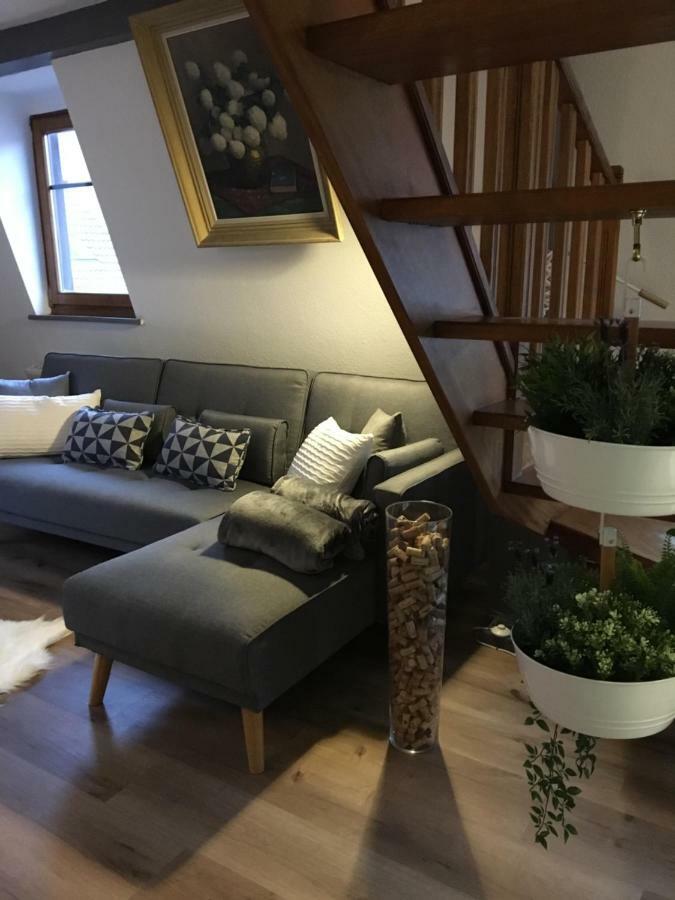 Les appartements d'estelle La Petite-Pierre Extérieur photo